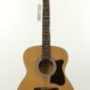 Ibanez IJVC50 Acoustic Guitar Pack Review - A Beginner's Delight Ibanez IJVC50 Acoustic Guitar Pack Review - A Beginner's Delight
