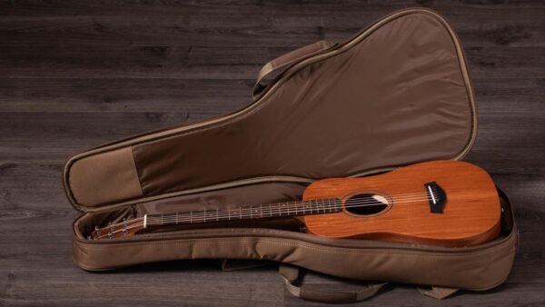 Taylor BT2 Baby Taylor Acoustic Guitar Mahogany Top Review Taylor BT2 Baby Taylor Acoustic Guitar Mahogany Top Review