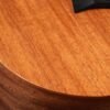 Taylor BT2 Baby Taylor Acoustic Guitar Mahogany Top Review Taylor BT2 Baby Taylor Acoustic Guitar Mahogany Top Review