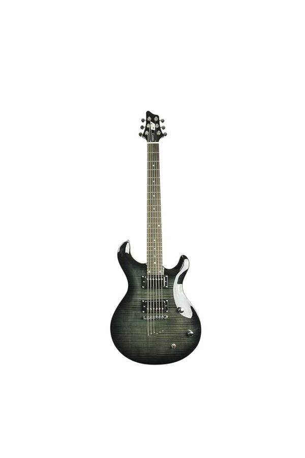 IYV 6 String IP-350 TBK PRS Solid-Body Electric Guitar, Trans Black IYV 6 String IP-350 TBK PRS Solid-Body Electric Guitar, Trans Black