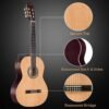 ADM Acoustic Guitar Kit Review Comprehensive Starter Bundle with Free Lessons and Accessories ADM Acoustic Guitar Kit Review Comprehensive Starter Bundle with Free Lessons and Accessories
