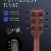 Fesley FLP350 Electric Guitar Kit Review Best Full Size Solid Body Guitar for Beginners Fesley FLP350 Electric Guitar Kit Review Best Full Size Solid Body Guitar for Beginners