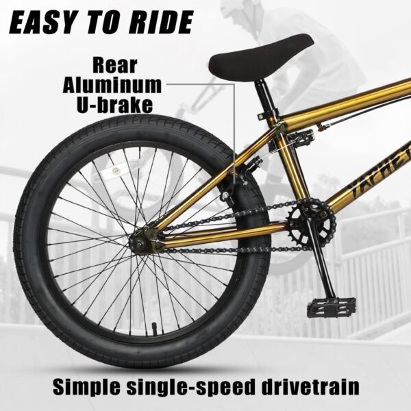 Freestyle BMX Bike Review Cubsala Yaphet 20 Inch Durable Steel Frame Performance Freestyle BMX Bike Review Cubsala Yaphet 20 Inch Durable Steel Frame Performance
