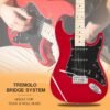 GLARRY 39 Inch Electric Guitar Beginner Kit Review with Amp and Accessories Pack GLARRY 39 Inch Electric Guitar Beginner Kit Review with Amp and Accessories Pack
