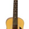 HOHNER HAG250P Classical Guitar Review A Perfect Beginner 6 String Acoustic Guitar HOHNER HAG250P Classical Guitar Review A Perfect Beginner 6 String Acoustic Guitar
