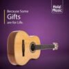 Hola Music HG-39GLS Full Size Classical Guitar Review with Soft Nylon Strings and Free Gig Bag Hola Music HG-39GLS Full Size Classical Guitar Review with Soft Nylon Strings and Free Gig Bag