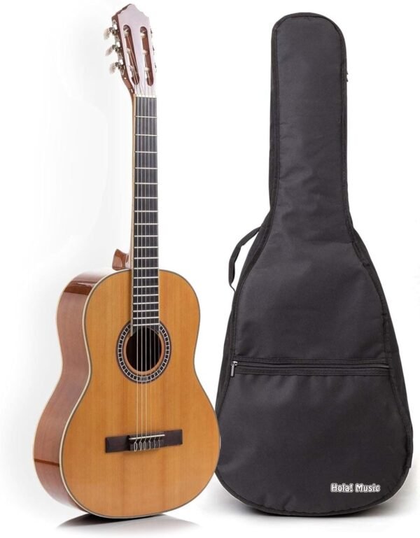 Hola Music HG-39GLS Full Size Classical Guitar Review with Soft Nylon Strings and Free Gig Bag Hola Music HG-39GLS Full Size Classical Guitar Review with Soft Nylon Strings and Free Gig Bag