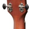 Ibanez PC12MHCE Electro Acoustic Guitar Review Best Mid Range Performance and Tone Ibanez PC12MHCE Electro Acoustic Guitar Review Best Mid Range Performance and Tone