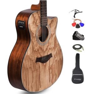 Kadence Electric Acoustic Guitar (Ash Wood) - Semi Acoustic Guitar with Pickup, Inbuilt Tuner, Capo, Strings, Picks, Strap, Cable and Padded bag - Electro Guitars for Beginners... Kadence Electric Acoustic Guitar (Ash Wood) - Semi Acoustic Guitar with Pickup, Inbuilt Tuner, Capo, Strings, Picks, Strap, Cable and Padded bag - Electro Guitars for Beginners...