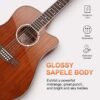 Vangoa 12 String Acoustic Electric Guitar Review Perfect for Beginners and Beyond Vangoa 12 String Acoustic Electric Guitar Review Perfect for Beginners and Beyond